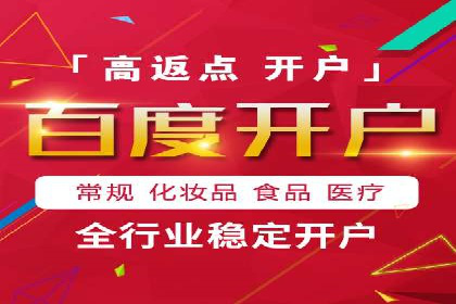 谷歌竞价广告与SEO结合的营销案例解析